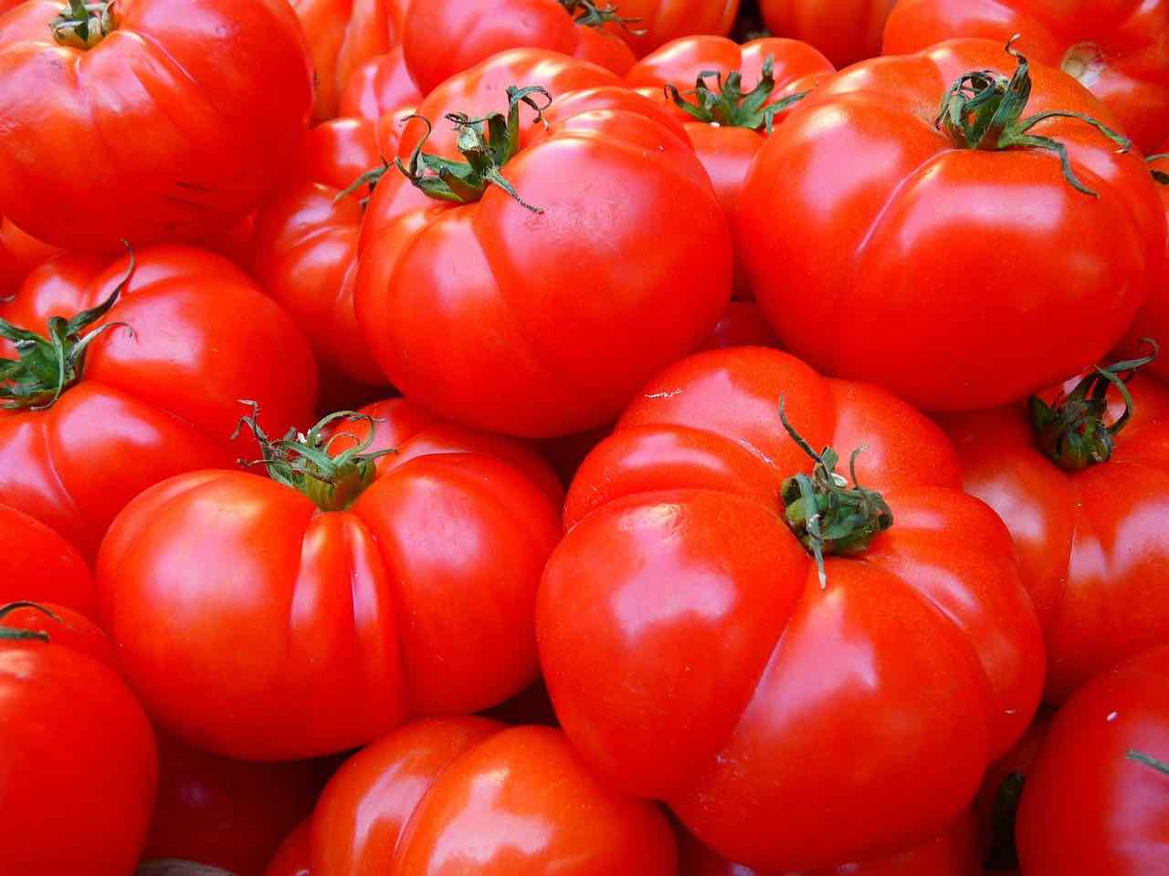 scomparsa pomodori