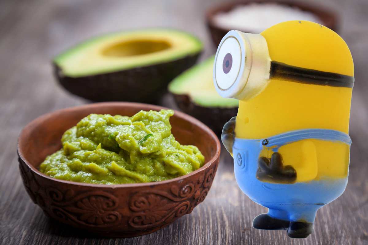 Minion che guarda la Guacamole