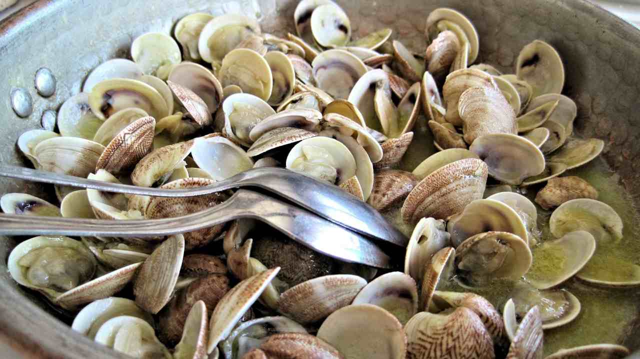 vongole errori