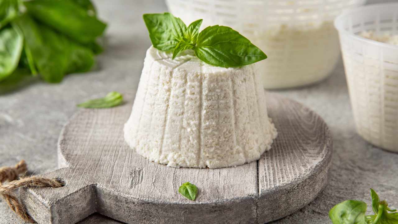 ricotta