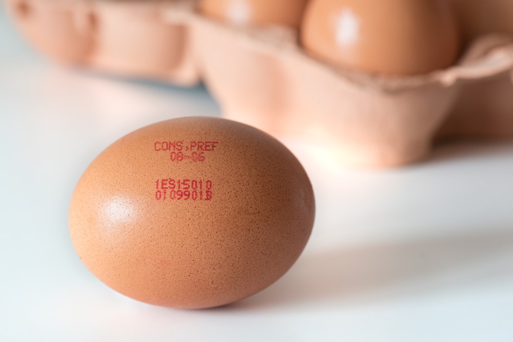 leggere il codice di tracciabilità sulle uova