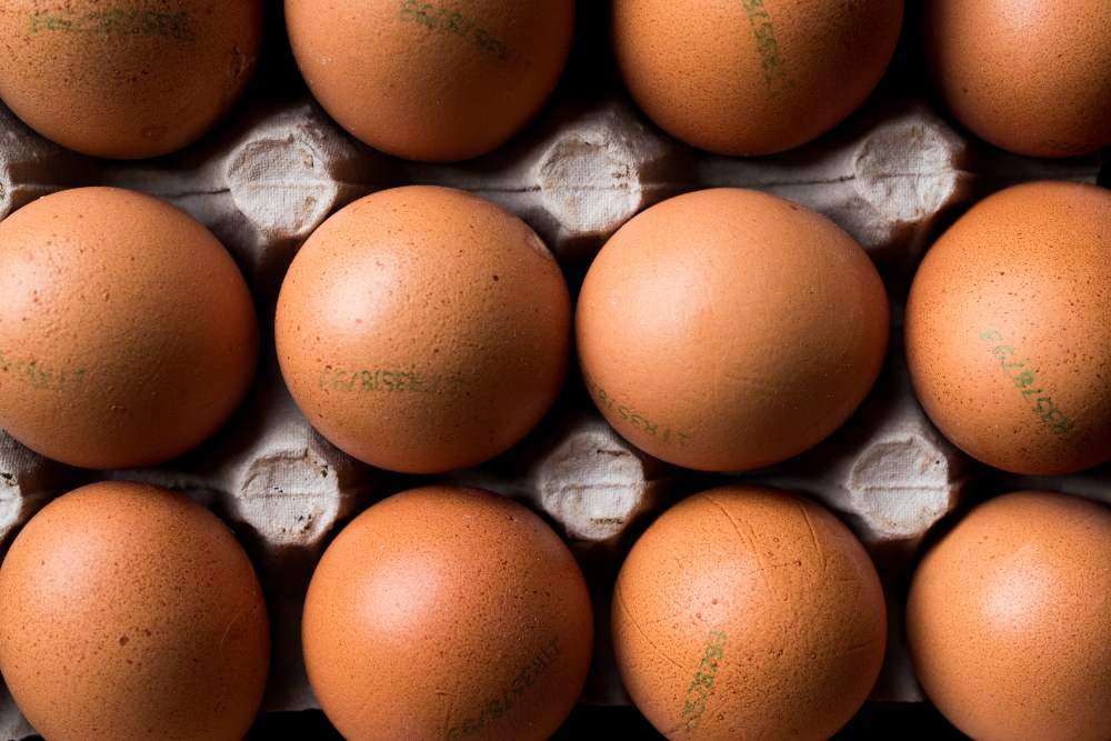 leggere il codice di tracciabilità sulle uova