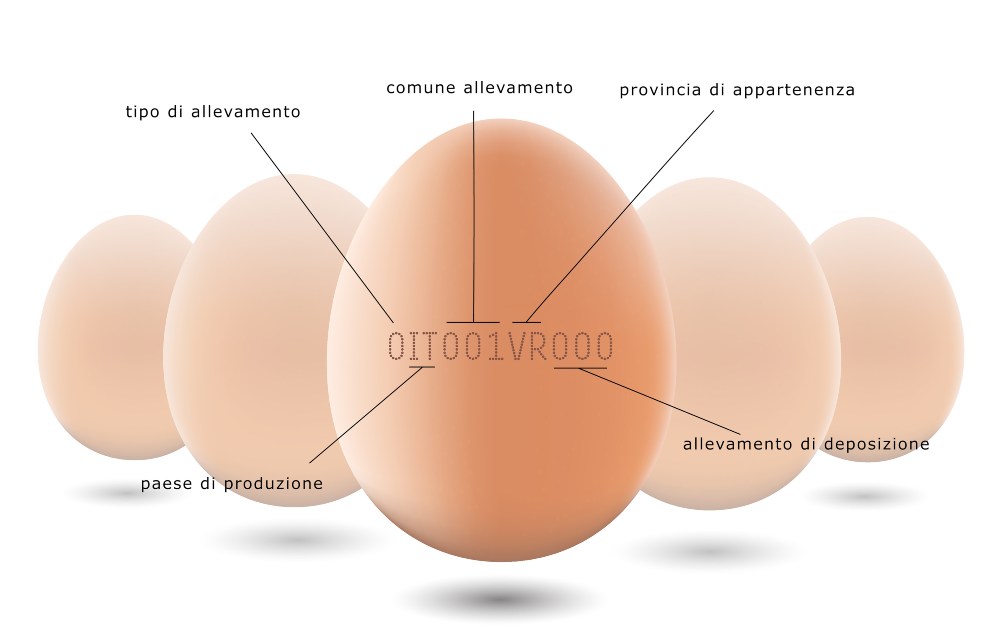 leggere il codice di tracciabilità sulle uova