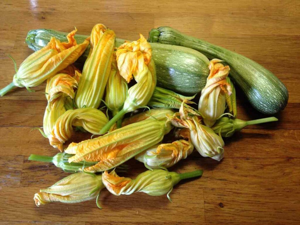 Fiori di zucca