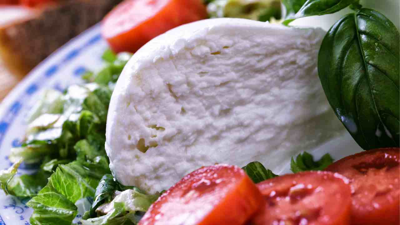 mozzarella di bufala