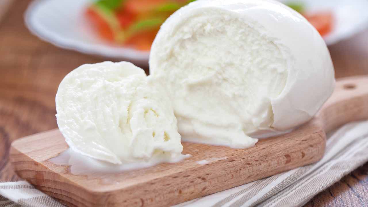 MOZZARELLA DI BUFALA