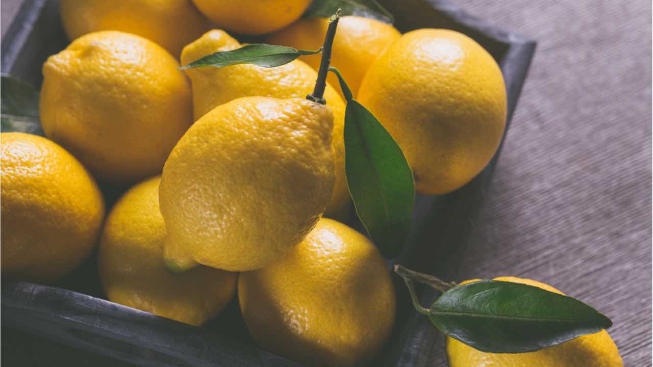 limoni