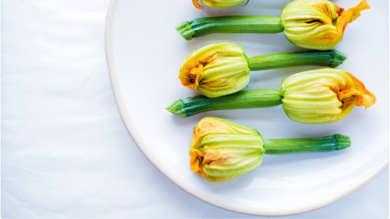 fiori di zucca freschi