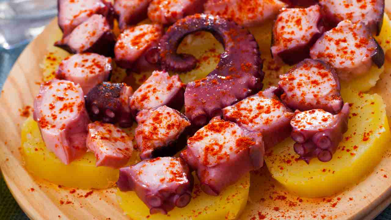 pulpo