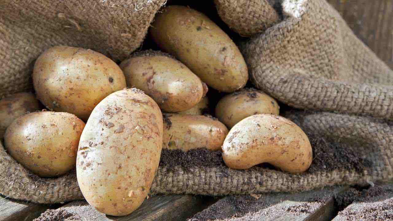 conservare patate