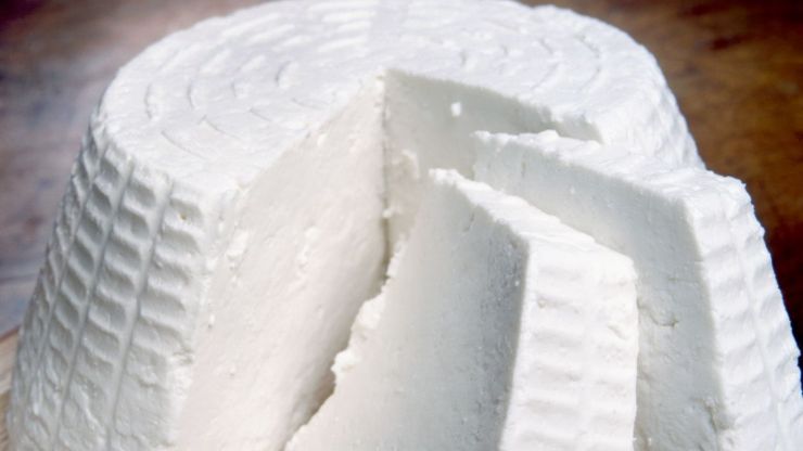 ricotta