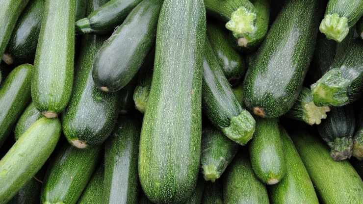 zucchine ripiene ligure