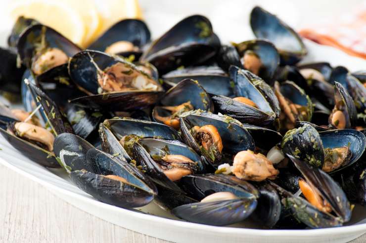 allerta alimentare cozze