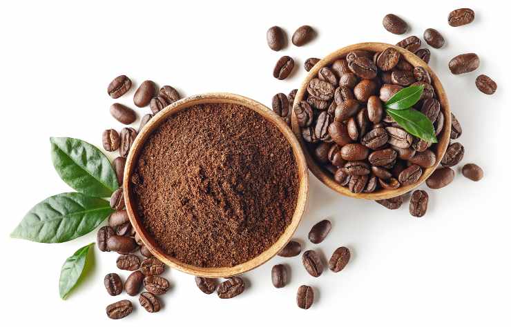caffè polvere chicchi