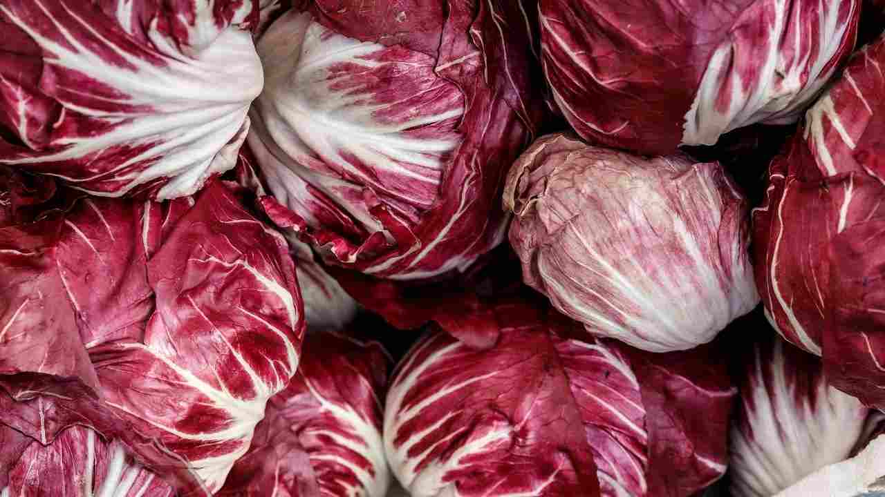 togliere amaro radicchio