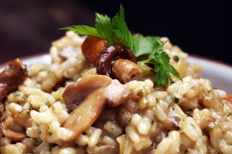 Risotto ai funghi 