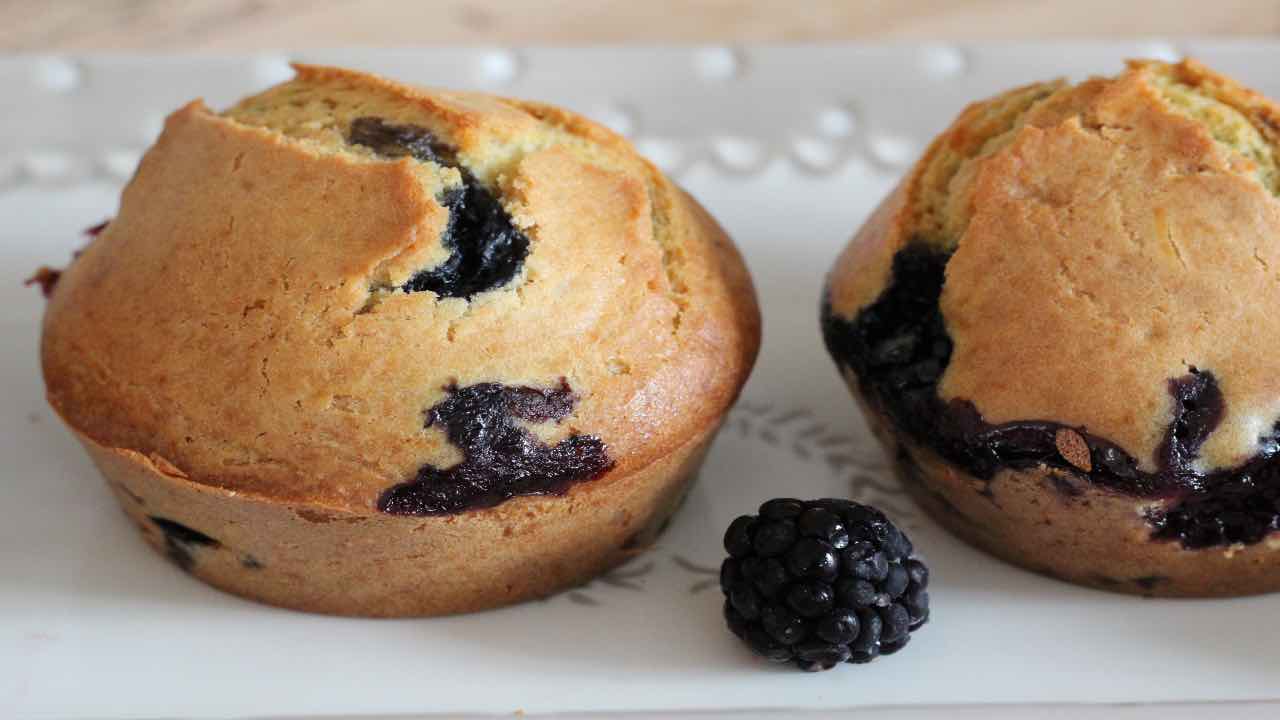 MUFFIN VELOCI