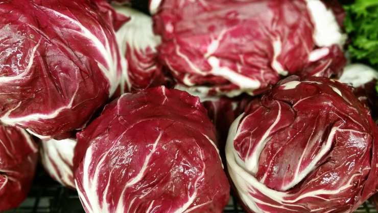 trofie radicchio