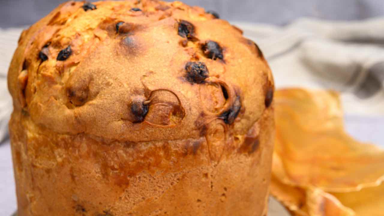 PANETTONE