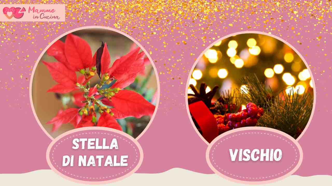 test simbolo natale