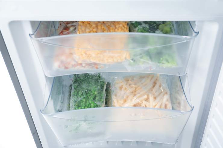 conservare cibi freezer
