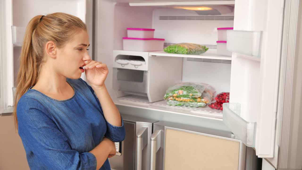 Come eliminare odori sgradevoli dal congelatore a pozzetto