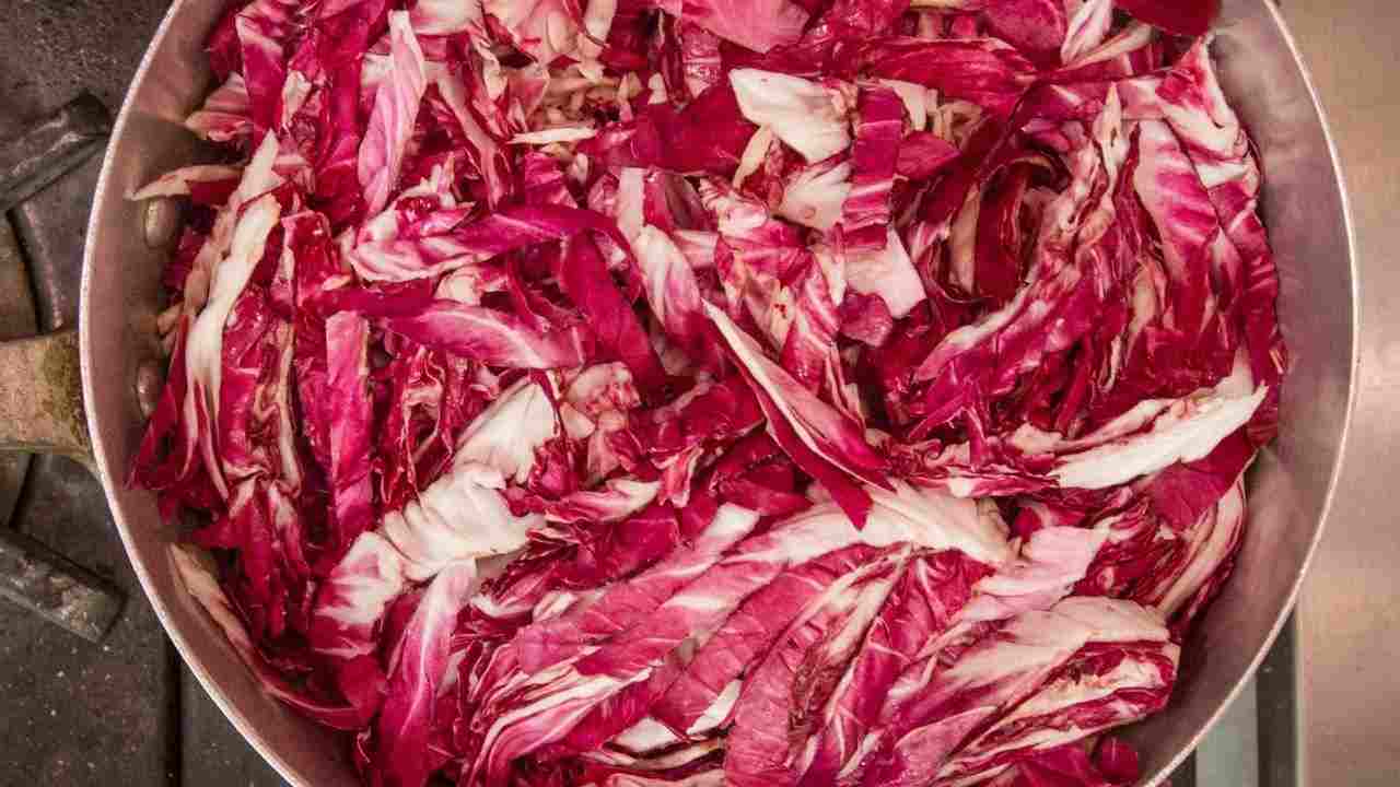 radicchio in padella