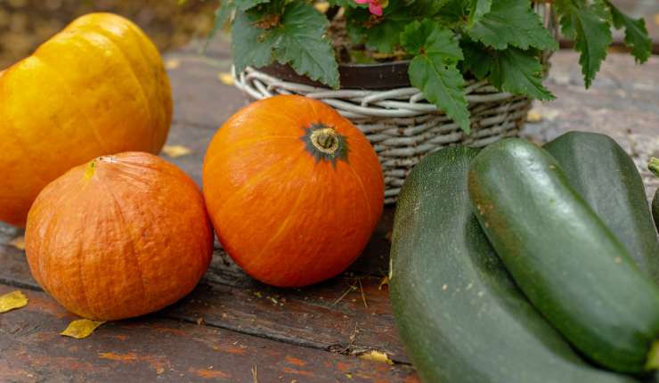 Vellutata di zucca e zucchine di Benedetta Rossi