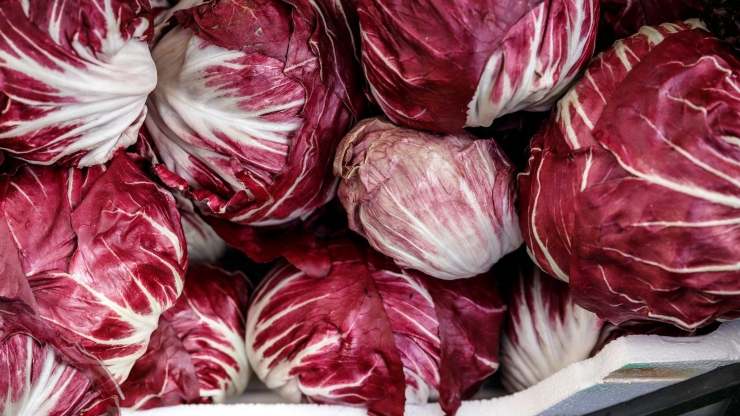 contorno pere radicchio