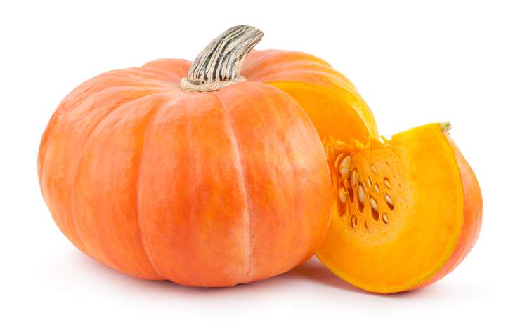 zucca ricette economiche