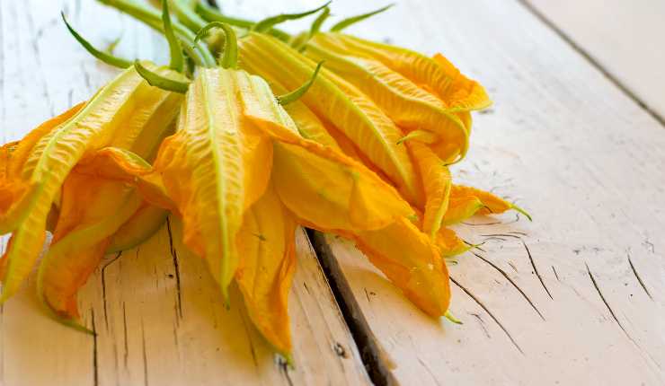 Pasta fiori di zucca Benedetta Rossi