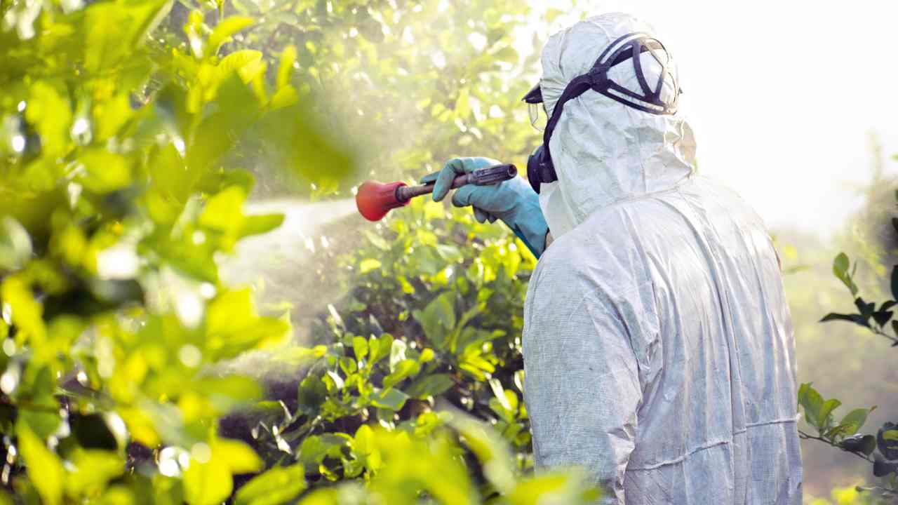 Pesticidi frutta
