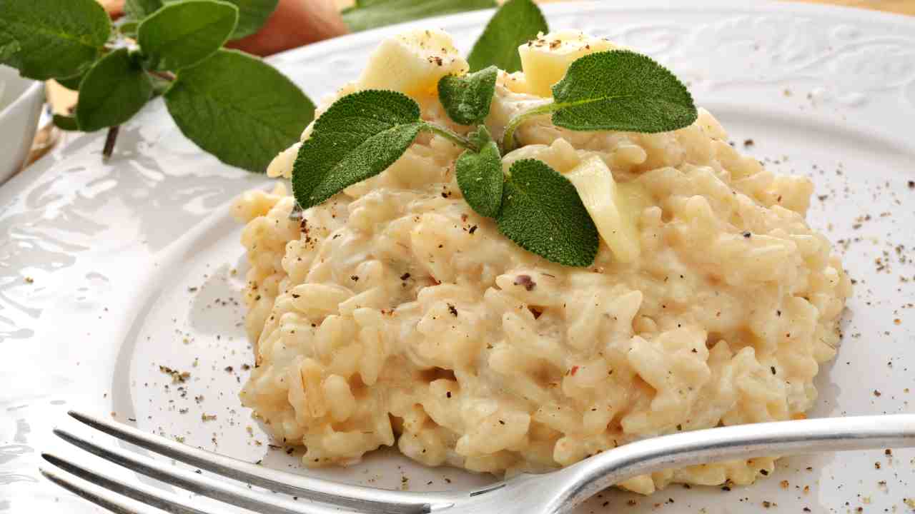 risotto al taleggio