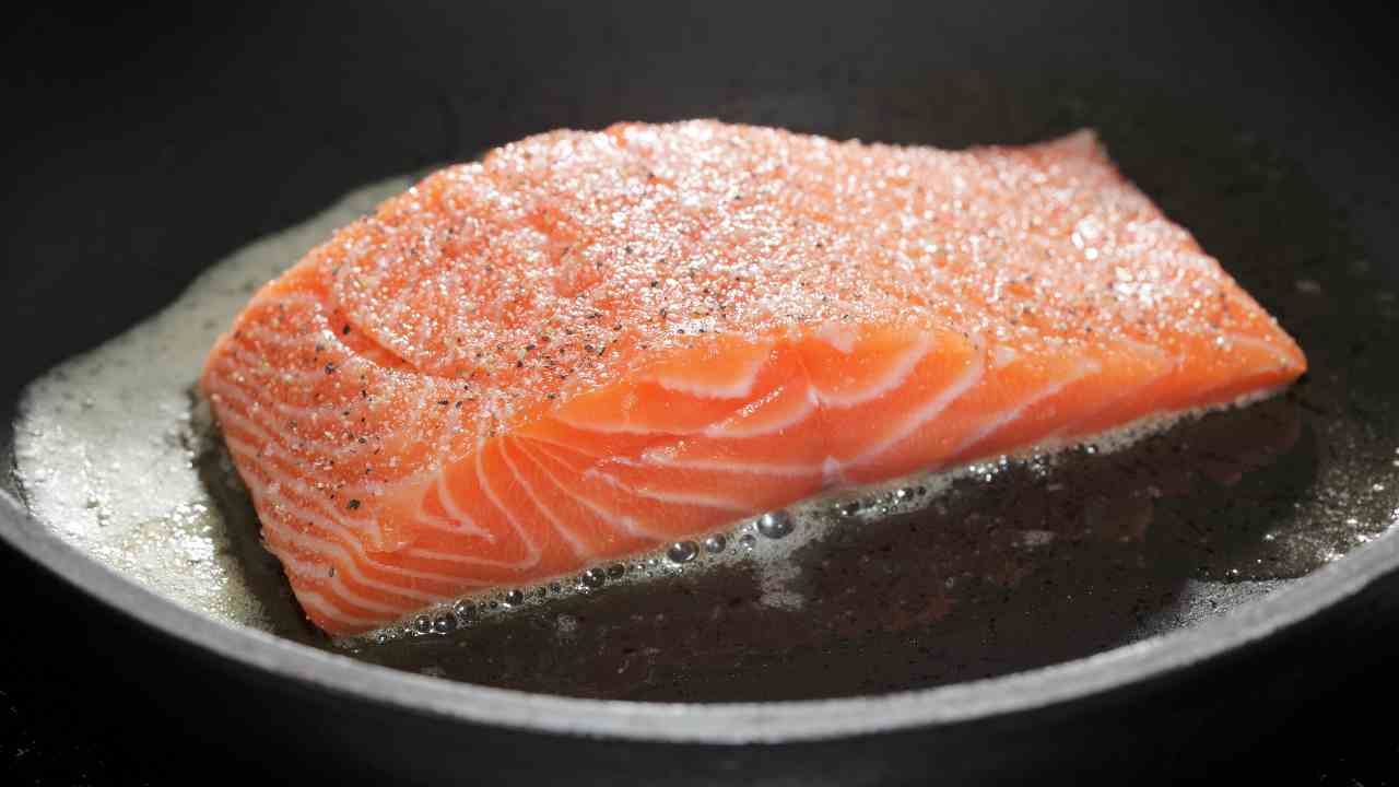 salmone norvegese csaba