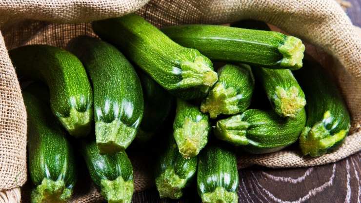 pasta forno zucchine