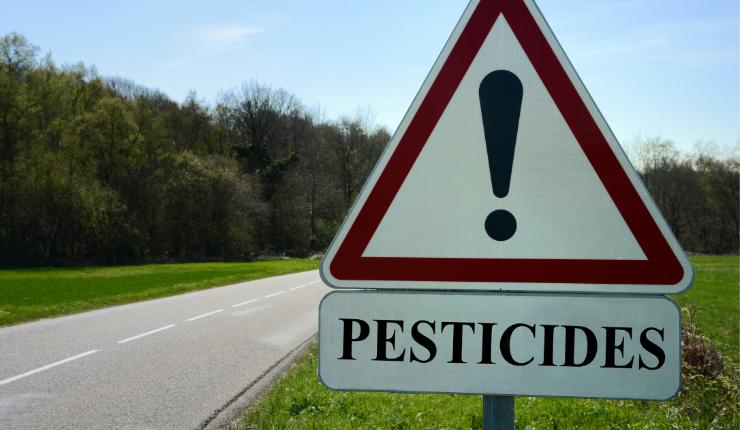 Tè tisane pesticidi