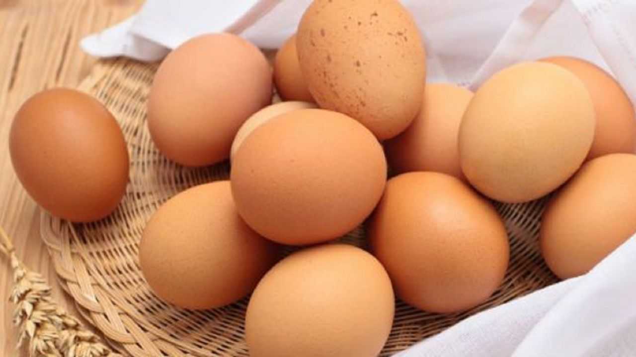 quante uova a settimana