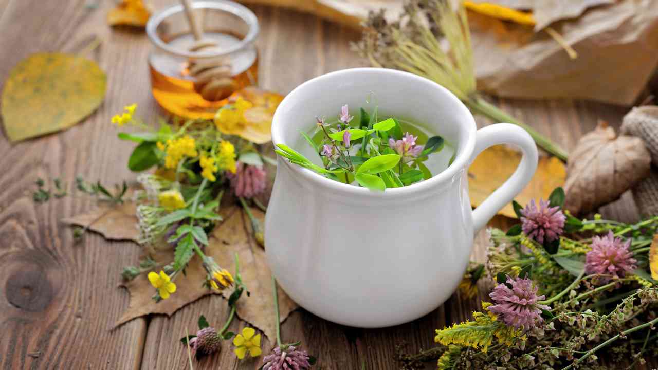 Tè tisane pesticidi
