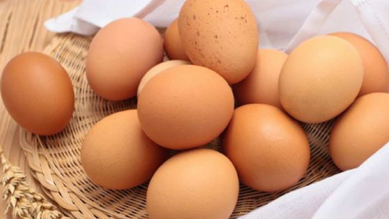 conservare uova 