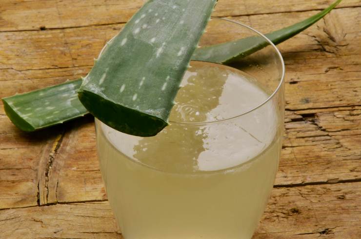 gel aloe vera usi