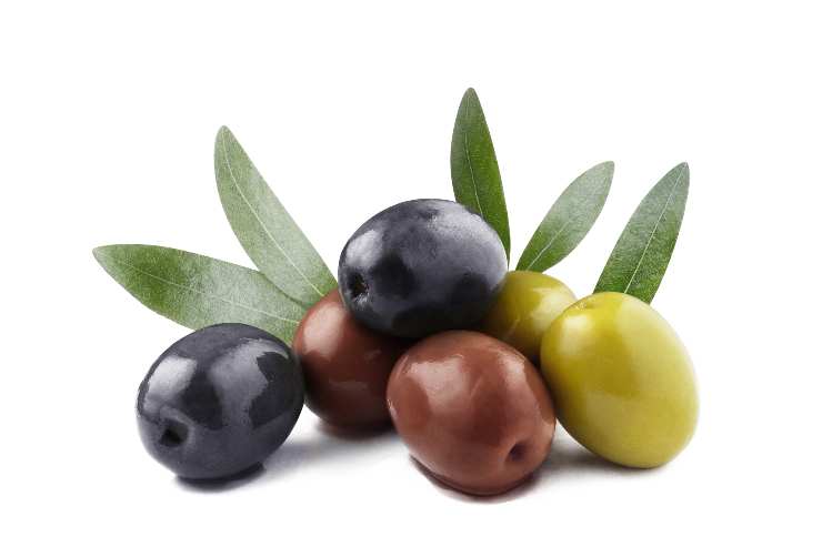 olive ricette economiche