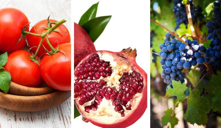 tumori alimentazione