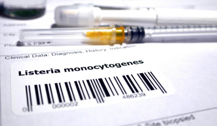 Listeria monocytogenes