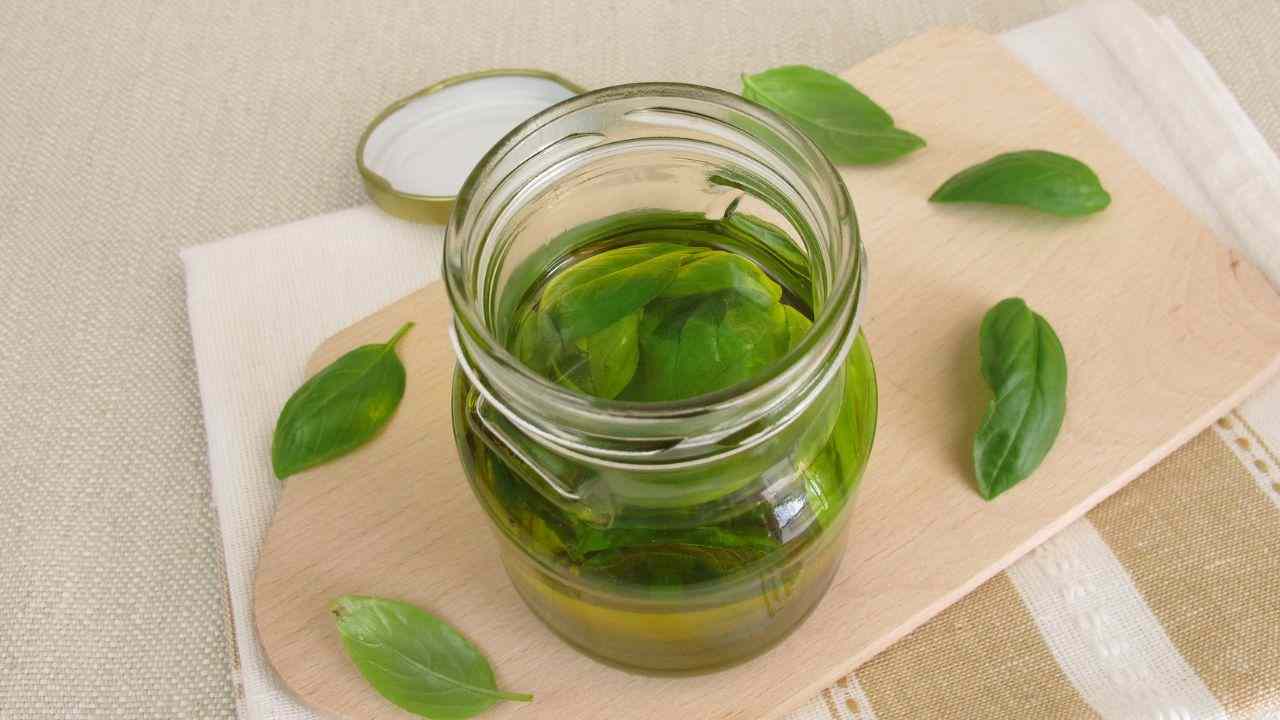 basilico sott'olio