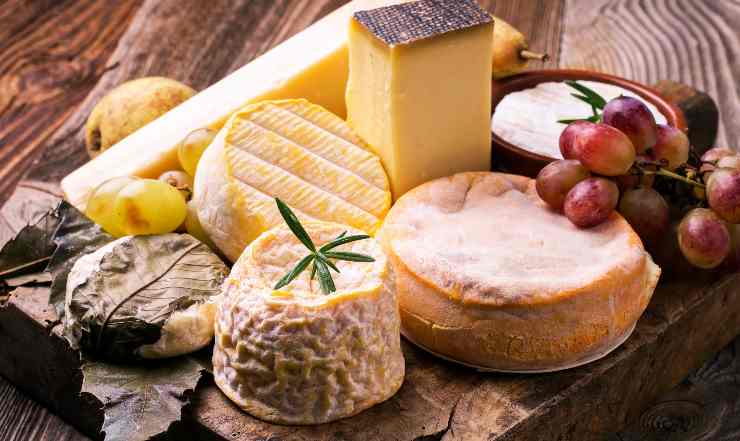 formaggio alla piastra