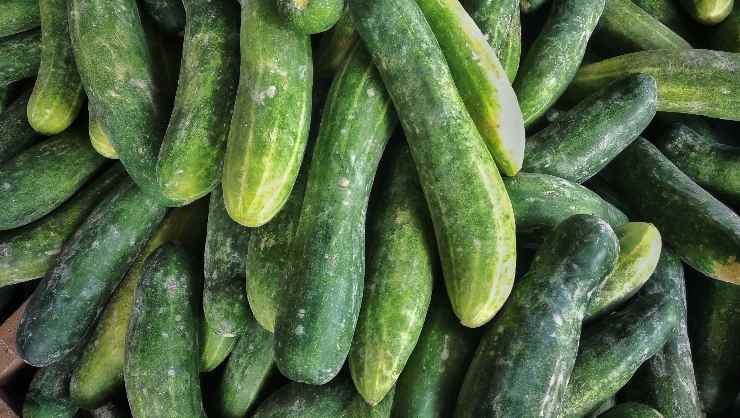 insalata di zucchine