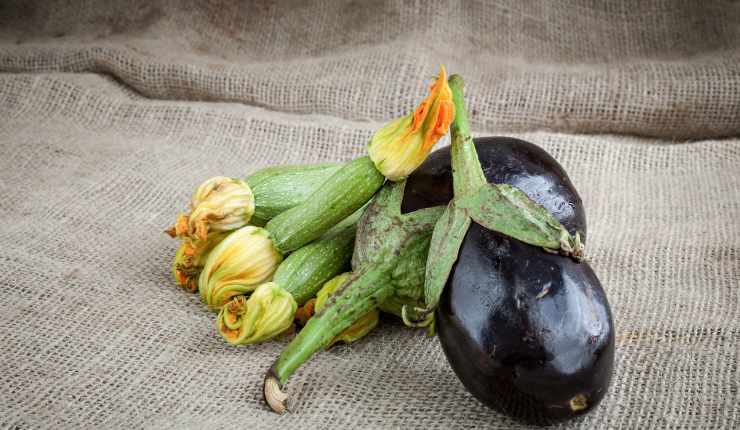 Zucchine e melanzane al pomodorino 