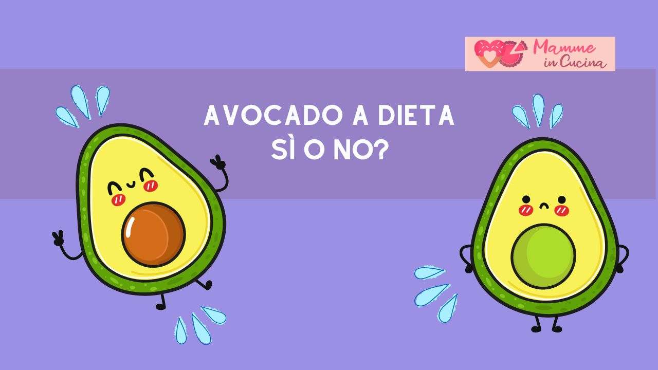 avocado ingrassare dimagrire