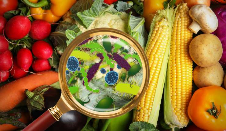 tossinfezioni alimentari in vacanza