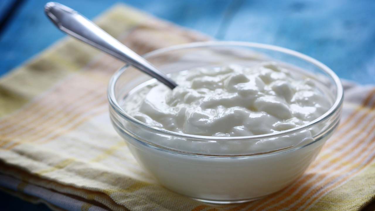 crema yogurt